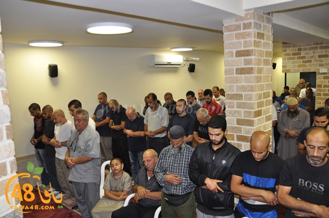 mohamed el fateh3 (2).JPG